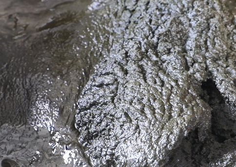 化工硫化污泥粉末擠壓脫油